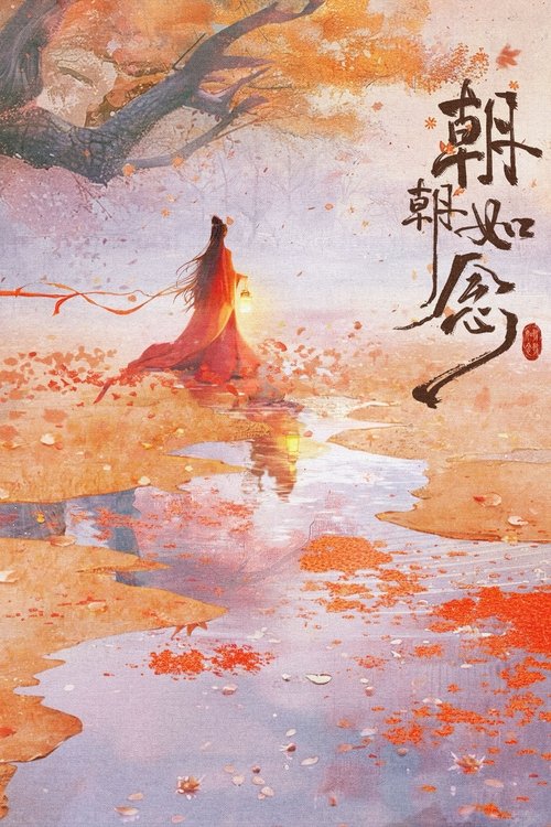 朝朝如念 电视剧