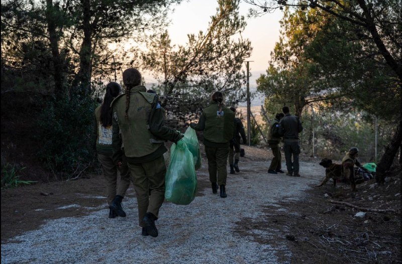 ניקוי ופינוי ציוד צבאי, נפלים ופסולת: צה"ל בעיצומו של מבצע נ…