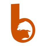 Channel Image