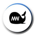 Channel Image