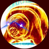 Channel Image