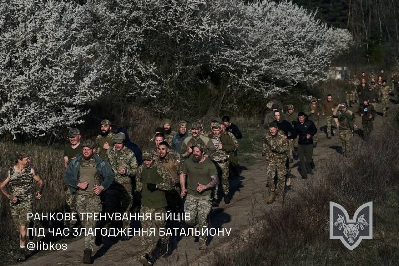 Зображення до поточного посту у каналі "Окремий батальйон Вовки Да Вінчі" - @smertvorogy