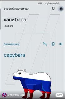 🤣各个国家是怎么称呼“卡皮巴拉”的？来源：capybara.addicts #我被翻译成了 #满脑子都是卡比巴拉 #各地区差异 #卡皮巴拉是一种生活态度 #知识以一种奇怪的方式入脑 #不同国家不同文化 #卡皮巴拉精神状态