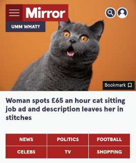 🖼 Няню для кошки за 7 тысяч рублей в ЧАС ищут в Лондоне — высокоранговая кошка жив...