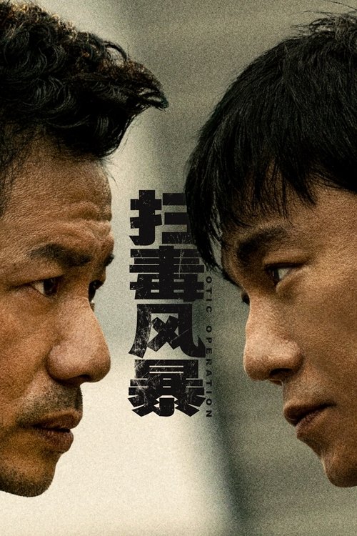 扫毒风暴（2025）4KSDR60FPS杜比音效S01E01-E10