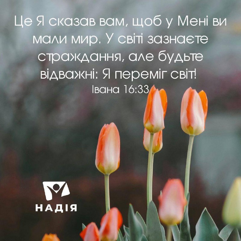 Зображення до поточного посту у каналі "Телеканал Надія" - @hopeua