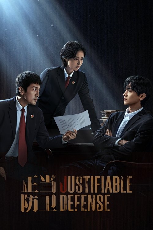 正当防卫（2025）S01E12-E13