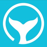 Channel Image