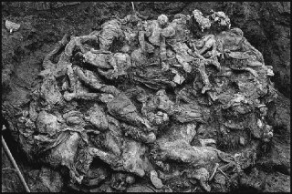 A mass grave at the Pilice collective farm near Srebrenica in 1996 @pfff_histor...