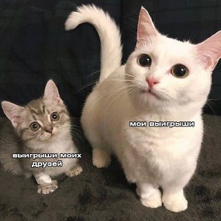 t.me