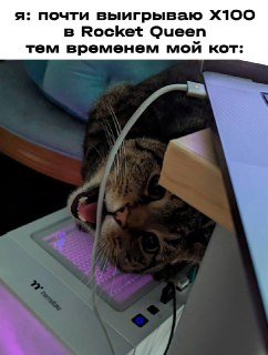 t.me
