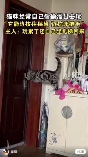 #萌宠出道计划 #有趣的猫咪 #猫 #会开门的猫 #萌宠 #搞笑视频 #宠物 #猫咪 #意想不到的瞬间 #宠物出行