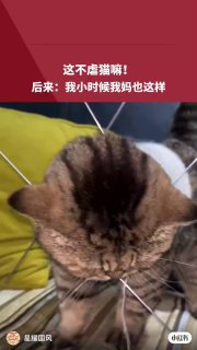求猫咪的心理阴影面积……这不虐猫嘛！后来：我小时候我妈也这样