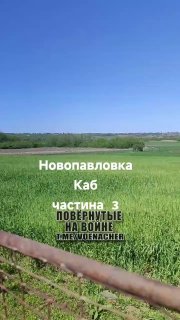 t.me