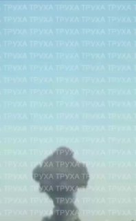 t.me