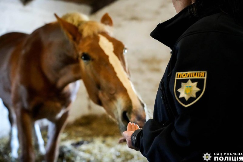 Зображення до поточного посту у каналі "МВС України" - @mvs_ukraine