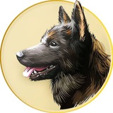 Channel Image