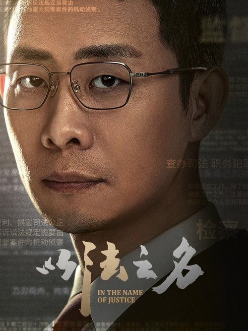 以法之名 电视剧
