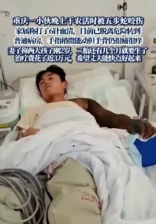 近日，重庆重庆小伙晚上干农活被五步蛇咬伤，6针血清仍未脱险！我想问血清是国产的吗？我们老家以前有个亲戚，有人被这蛇被蛇咬了，他上山采点草药，捣烂了敷上，再熬点水喝就好了！via Twitter @羅翔