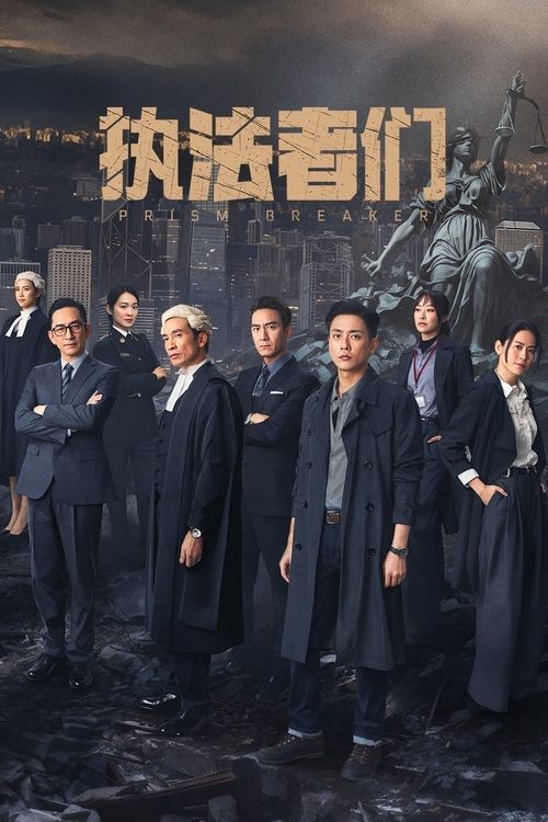 执法者们 电视剧