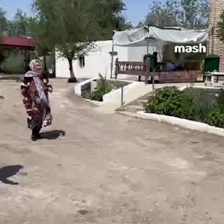 Гениальное возле мавзолея шейха Джалил Бабы в Узбекистане — застеклённая табличка с шрифтом Брайля.❗ Подписывайся на Mash