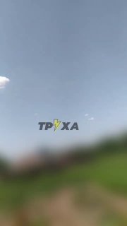 t.me