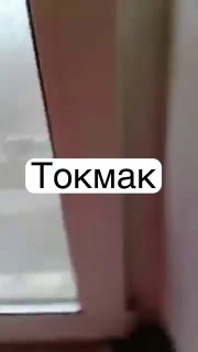 t.me