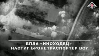 t.me