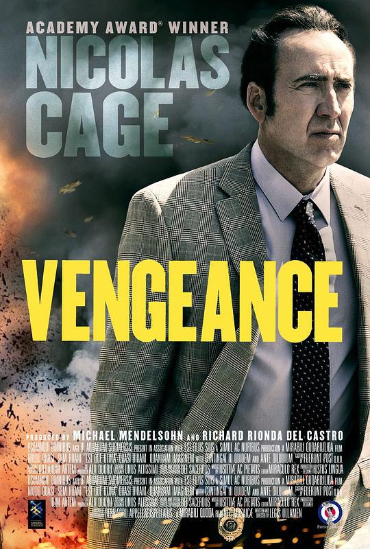 复仇:爱的故事 Vengeance: A Love Story (2017) 1080p 原盘Remux 中文字幕 【15.55GB】已刮削