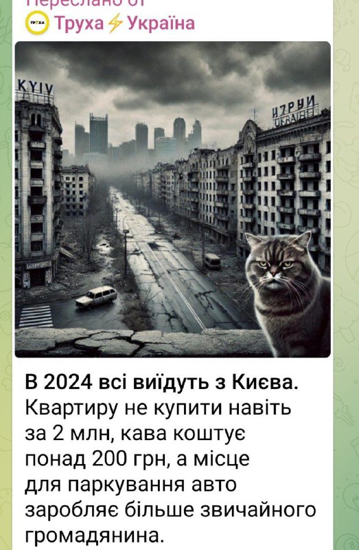 Зображення до поточного посту у каналі "ЦЕБУЛЯ БОРУКВА| #УкрТґ 🤙🍉🧅" - @borykva