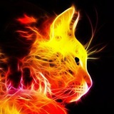 Channel Image