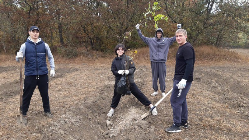 🖼 🌳500 саженцев ореха грецкого высадили в Моздокском районе в ходе Всероссийской...