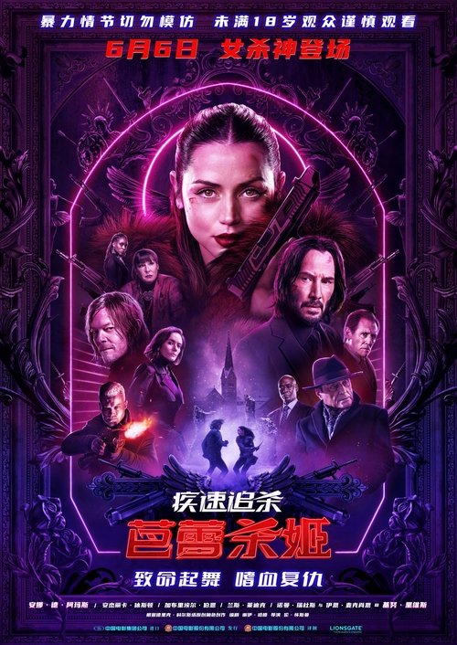 疾速追杀：芭蕾杀姬net 网络资源