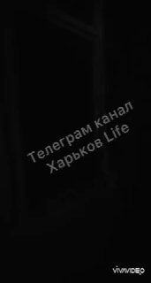 t.me