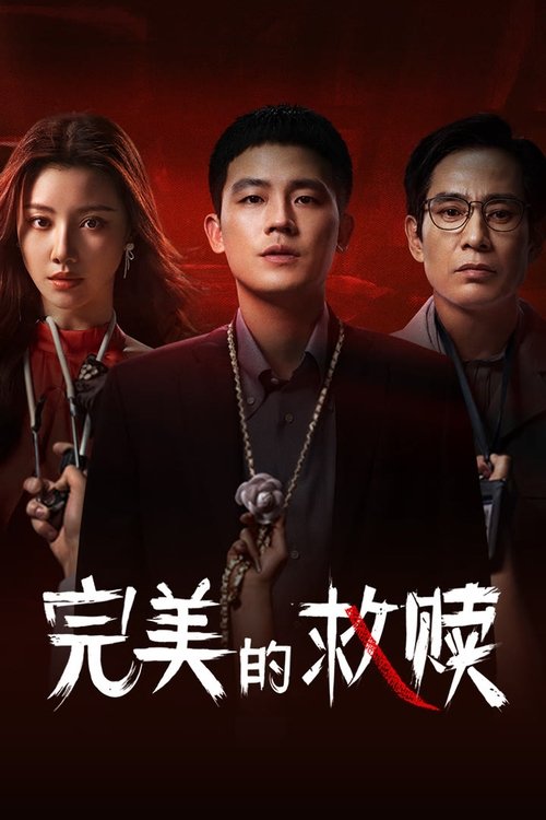 完美的救赎（2025）