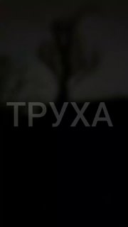 t.me